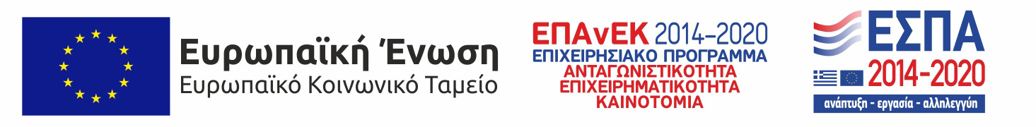 DS – DigitalSolutions Λογότυπο